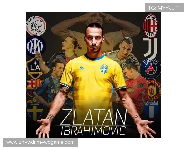 法甲最佳球员伊布：伊布在法甲的荣誉与表现