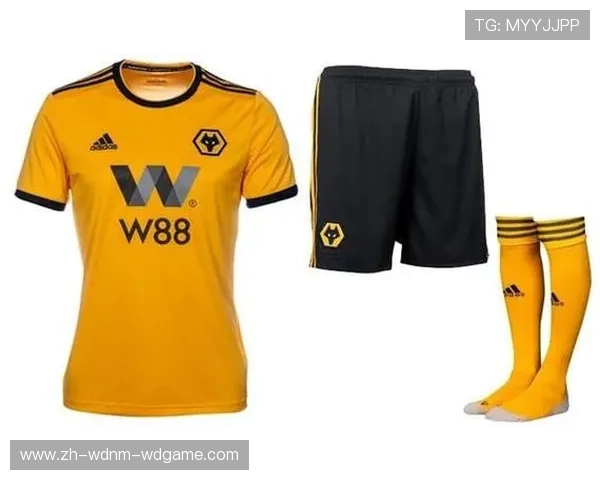 英超球衣销售利润及市场分析报告