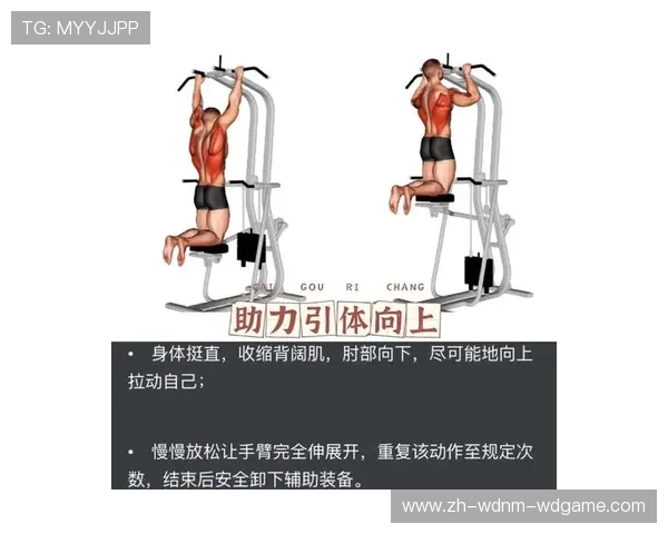 适合男生使用的健身器材推荐及锻炼计划